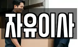 자유이사