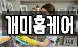 개미홈케어