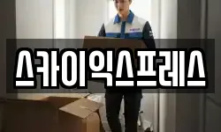 스카이익스프레스