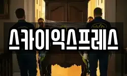 스카이익스프레스