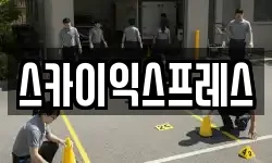 스카이익스프레스