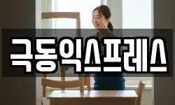 극동익스프레스