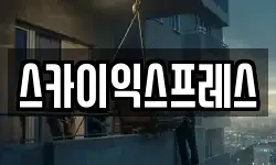 스카이익스프레스