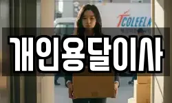 개인용달이사