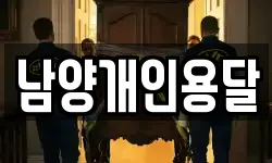 남양개인용달