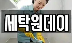 세탁원데이