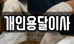 개인용달이사