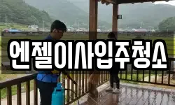 엔젤이사입주청소