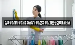 입주청소이사청소거주청소상가청소준공청소,피톤살균무료서비스