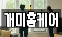 개미홈케어