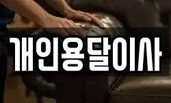 개인용달이사