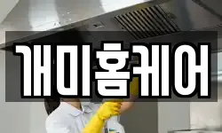개미홈케어