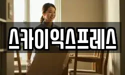 스카이익스프레스