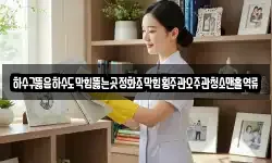 하수구뚫음하수도막힘뚫는곳정화조막힘횡주관오주관청소맨홀역류