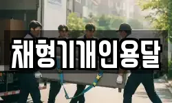 채형기개인용달