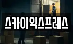 스카이익스프레스