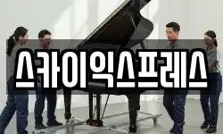 스카이익스프레스
