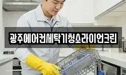 광주에어컨세탁기청소라이언크린