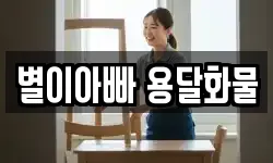 별이아빠 용달화물