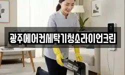 광주에어컨세탁기청소라이언크린