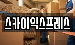 스카이익스프레스