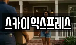 스카이익스프레스
