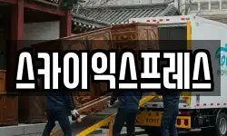 스카이익스프레스