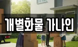 개별화물 가나인