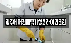 광주에어컨세탁기청소라이언크린