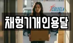 채형기개인용달