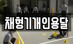 채형기개인용달