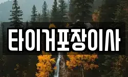 타이거포장이사