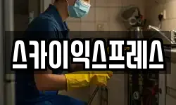 광주 동구 황금동 이사,용달이사,포장이사,원룸이사,보관이사