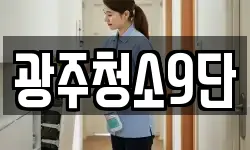 광주청소9단