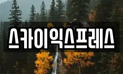 스카이익스프레스