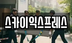 스카이익스프레스