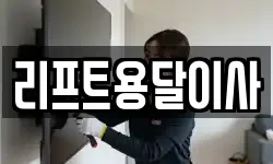 리프트용달이사
