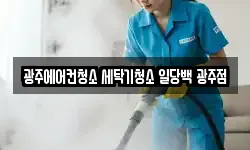 광주에어컨청소 세탁기청소 일당백 광주점