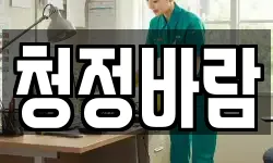 청정바람