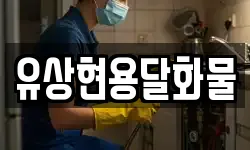 유상현용달화물