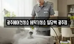 광주에어컨청소 세탁기청소 일당백 광주점