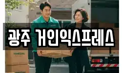 광주 거인익스프레스