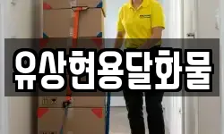 유상현용달화물