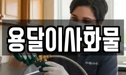 용달이사화물