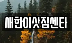 새한이삿짐센타