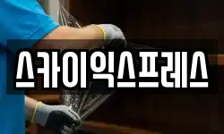 스카이익스프레스