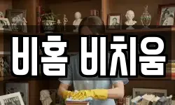 비홈 비치움