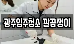 광주입주청소 깔끔쟁이