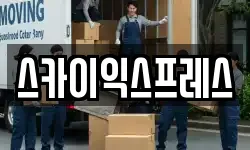 스카이익스프레스