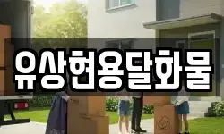 유상현용달화물